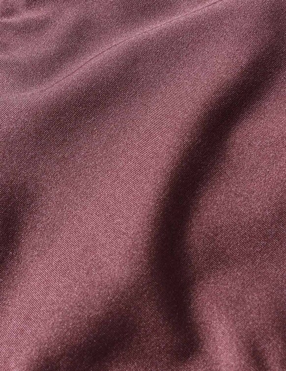 Aster Scoop Bikini-Hose in Vintage Mauve online Aster Scoop Bikini-Hose in Vintage Mauve online